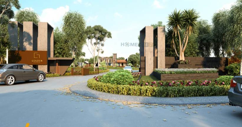 B Kesar Golden Acre-cover-06